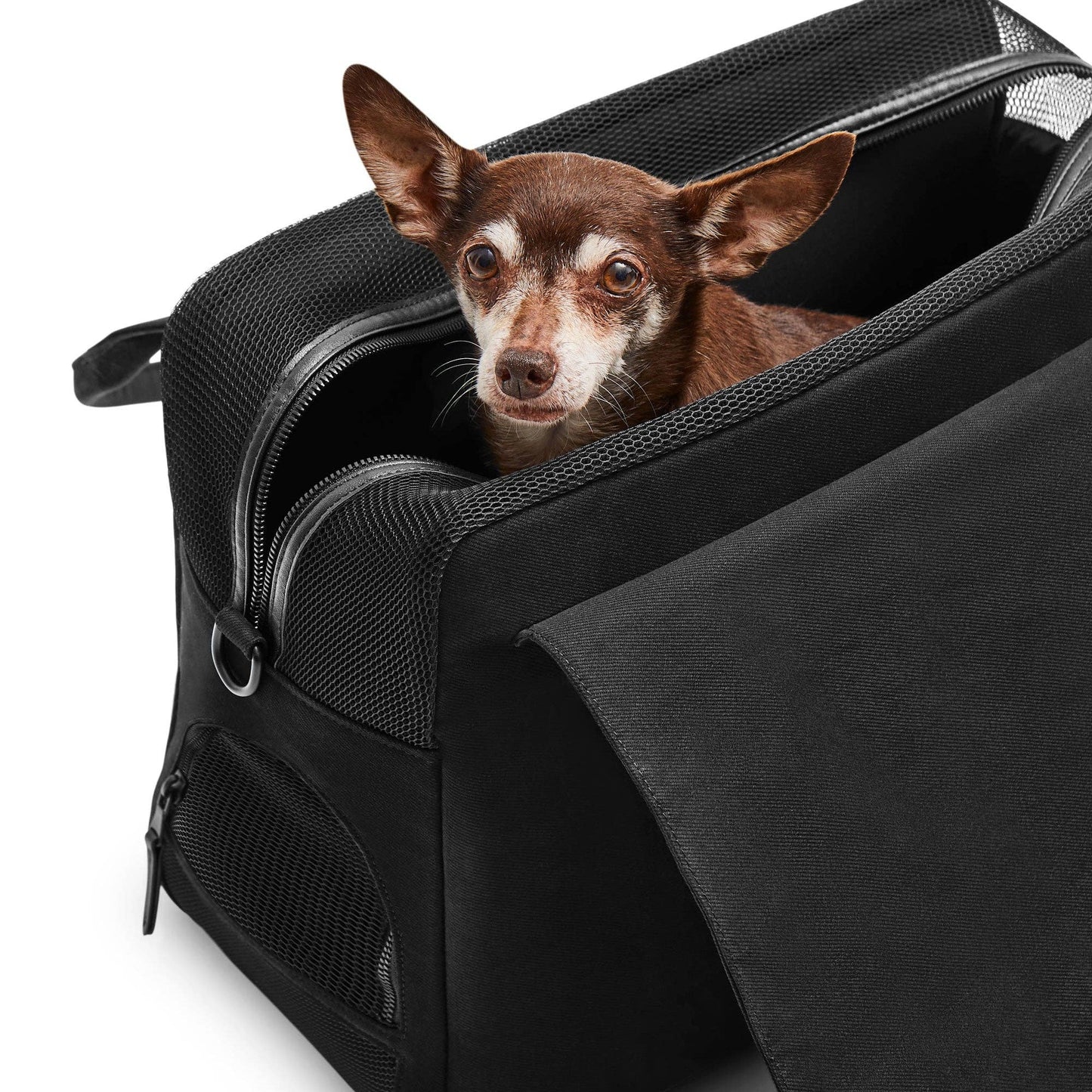 Destination Dog Tote