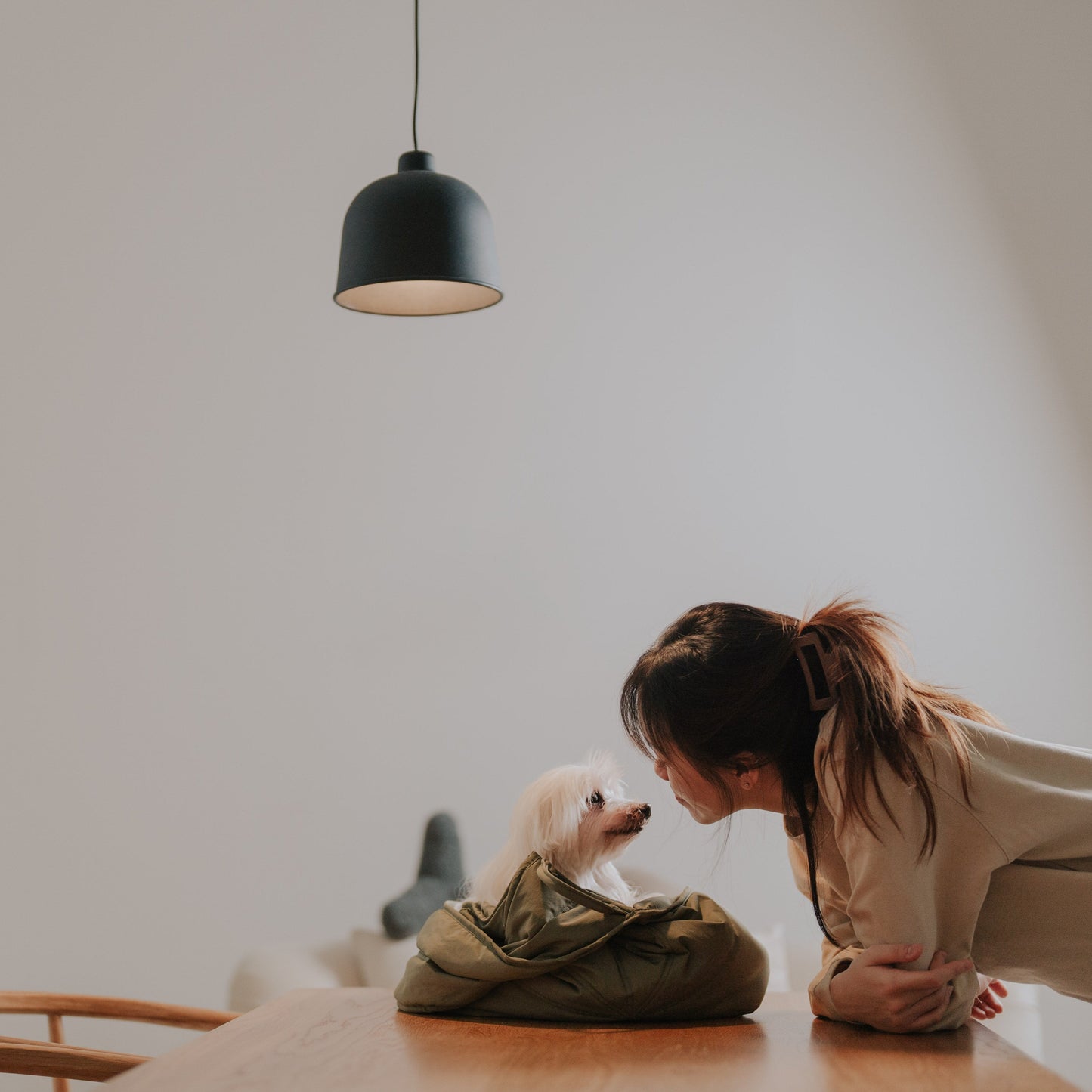 OLLA Petite Pet Carrycot