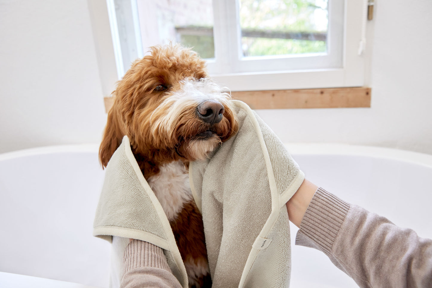 Kosy Dog Hand Towel