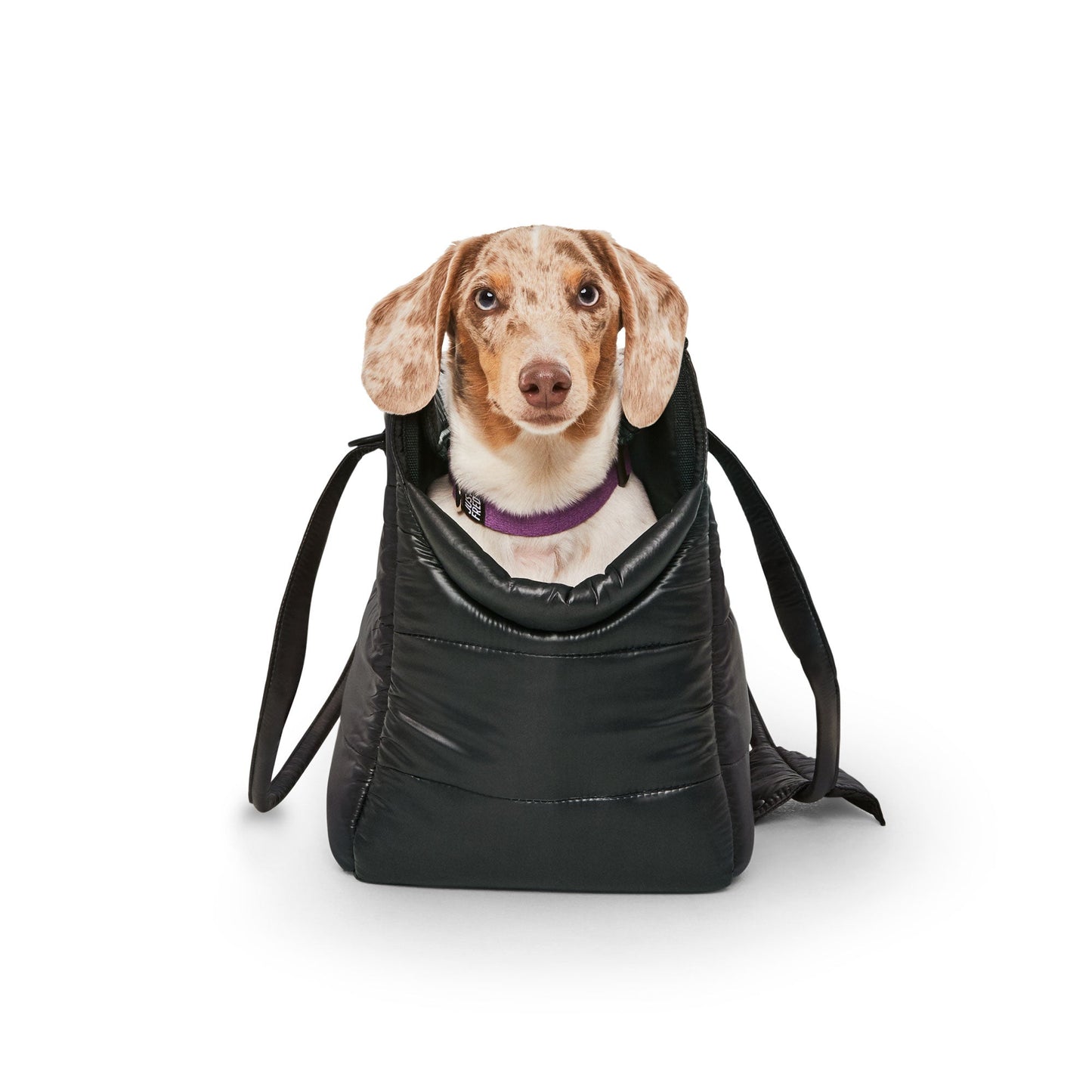 Weekend Dog Tote - Limited Edition