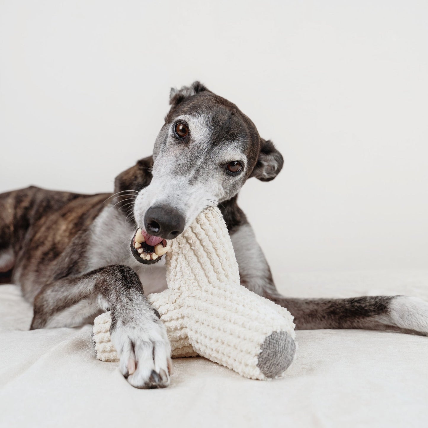 BREUER Enrichment Dog Toy