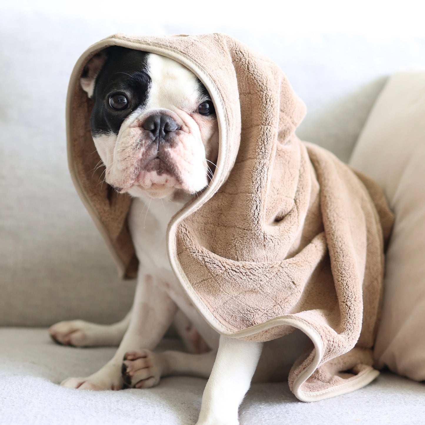 Fleece Dog Towel