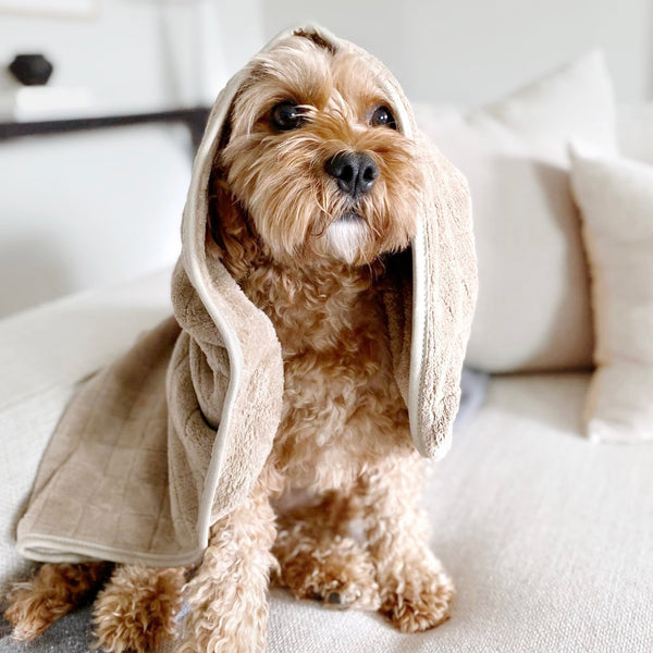 Fleece Dog Towel