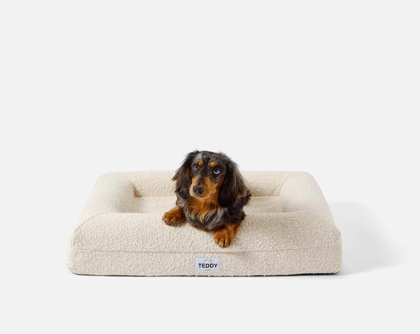 Teddy London Dog Bed