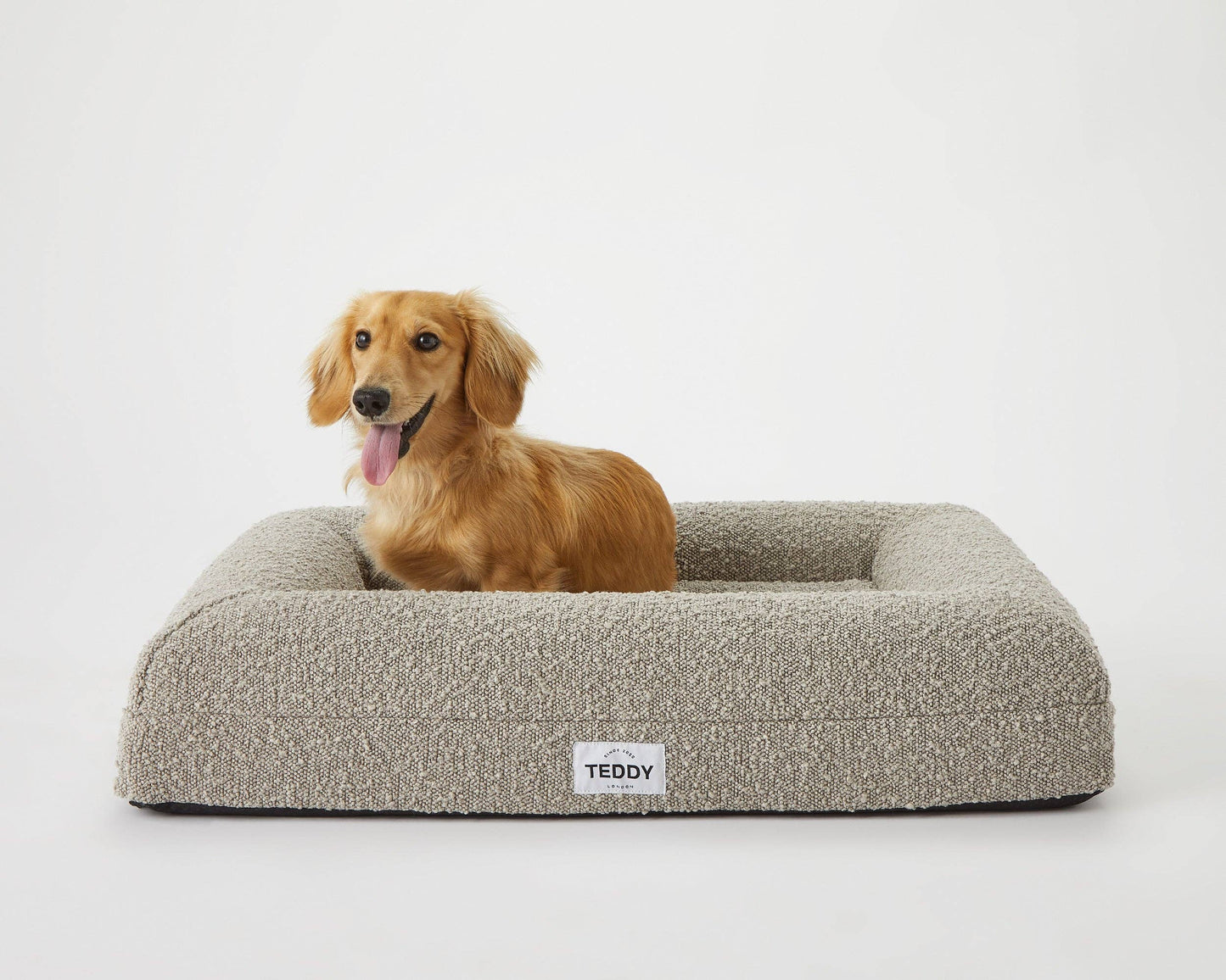 Teddy London Dog Bed