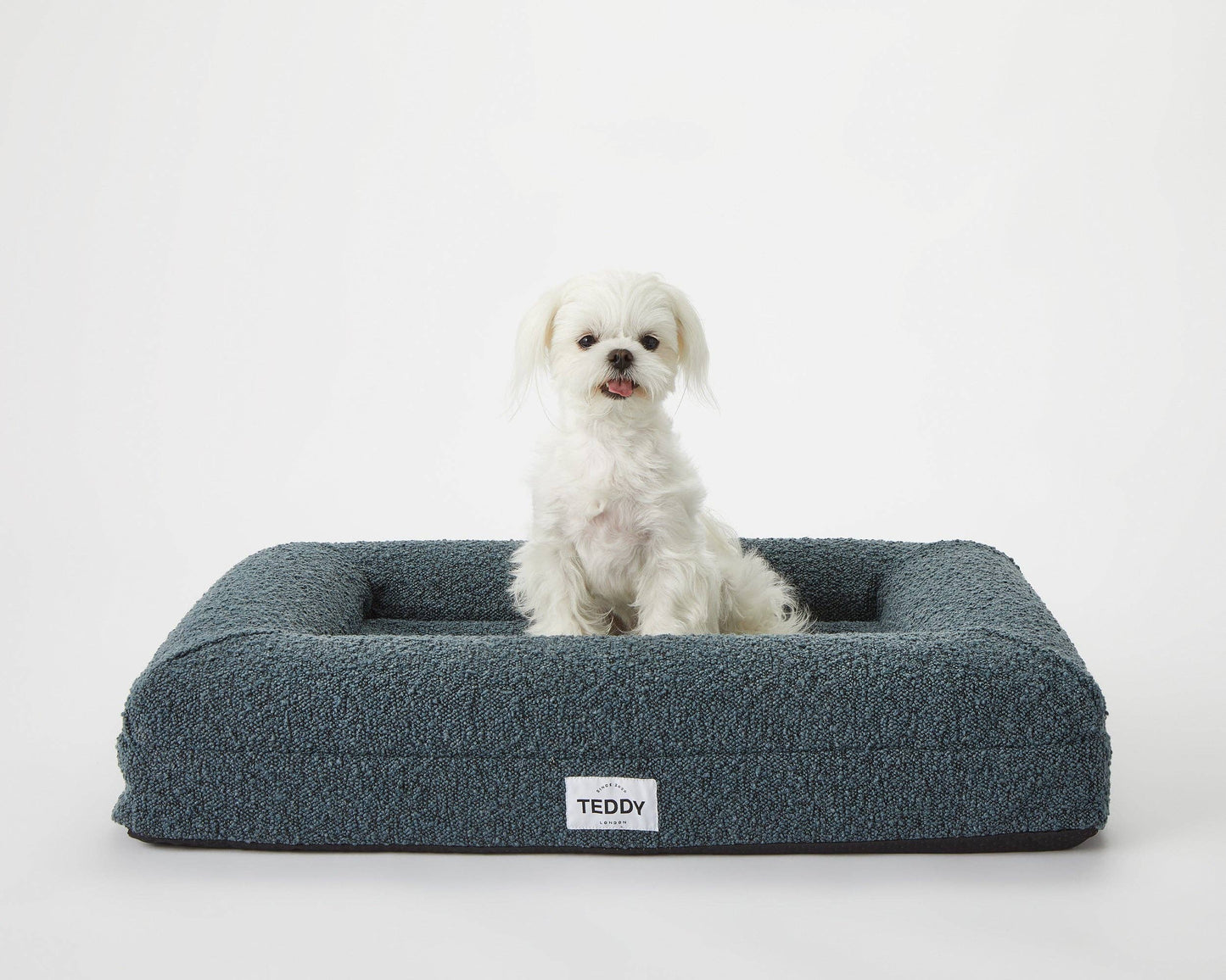 Teddy London Dog Bed