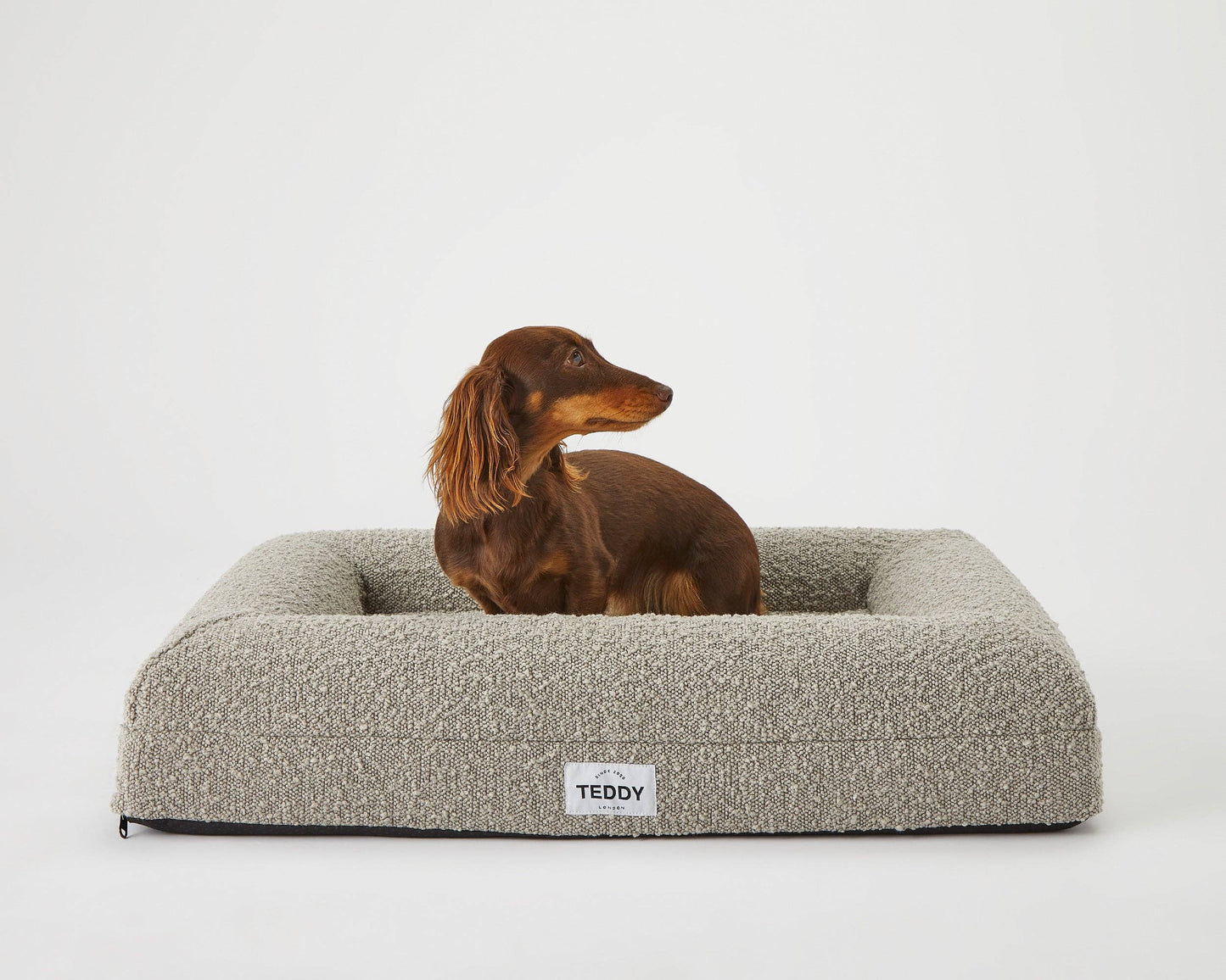 Teddy London Dog Bed